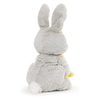Holiday Party Decoration Plush Stuffed Bunny with Easter Eggs Blankets Toy Set