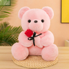 Creative Plush Stuffed Flower Fluffy Teddy Bear Toy Doll for Girlfriend