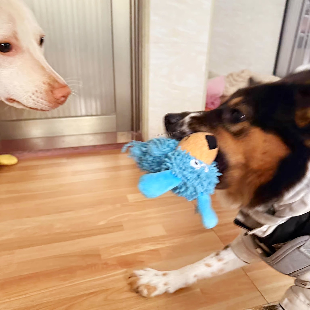 Yellow Blue Dog Mop Plush Soft Dog Chewy Squeaky Custom Pet Toys