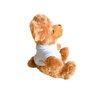 Sitting Factory Teddy Bear Plush Custom Toy with T-shirt