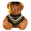 Custom Plush Stuffed Soft Graduation Teddy Bear Toy Doll Student Mascot