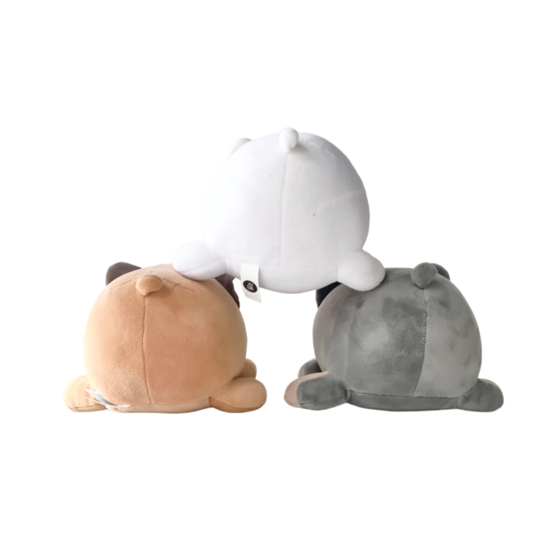 微信图片_20260315102434_1293_23_副本