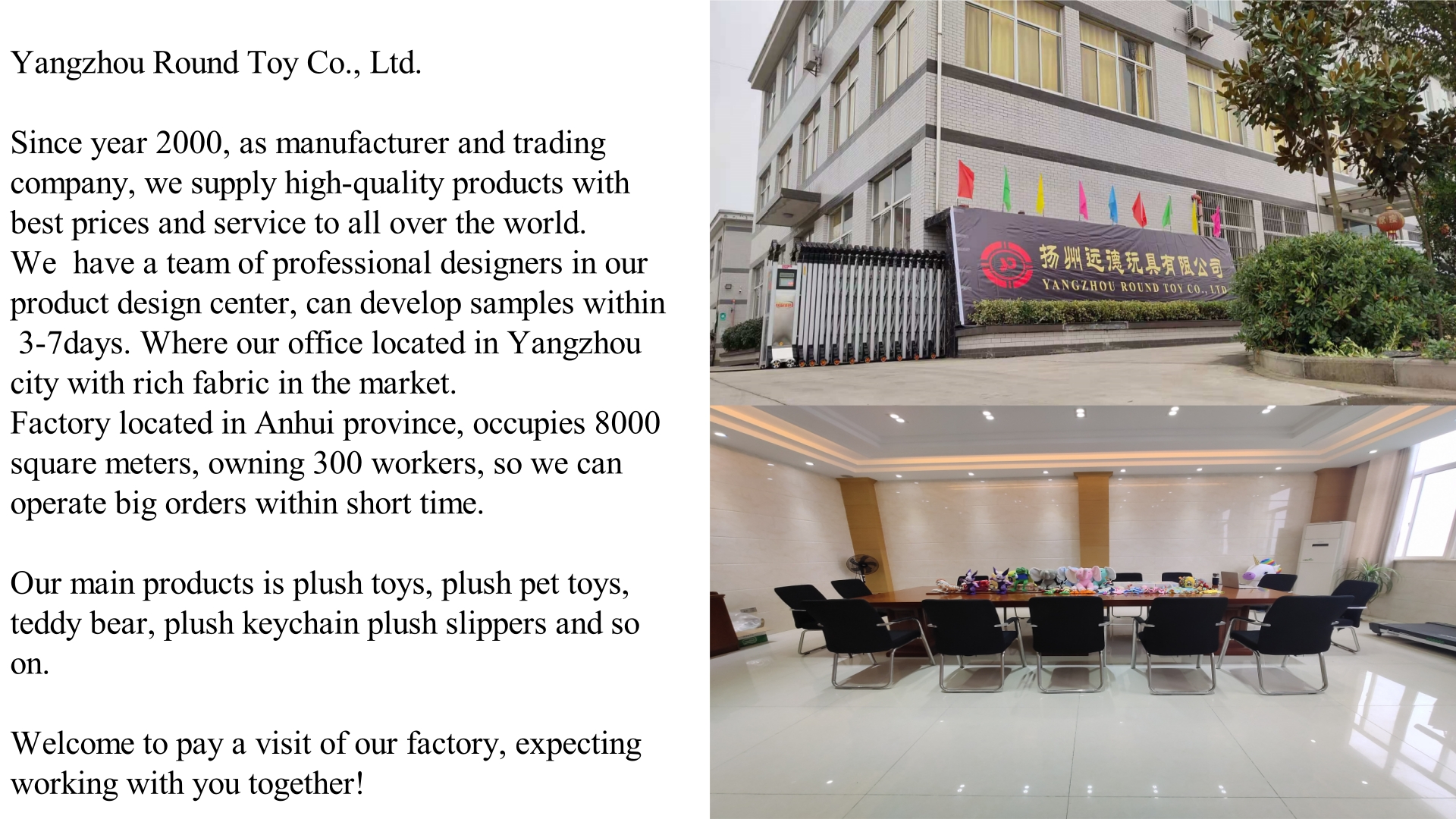 Company introduction