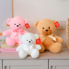 Wholesale Plush Stuffed Custom Color Cute Teddy Bear Toy Doll