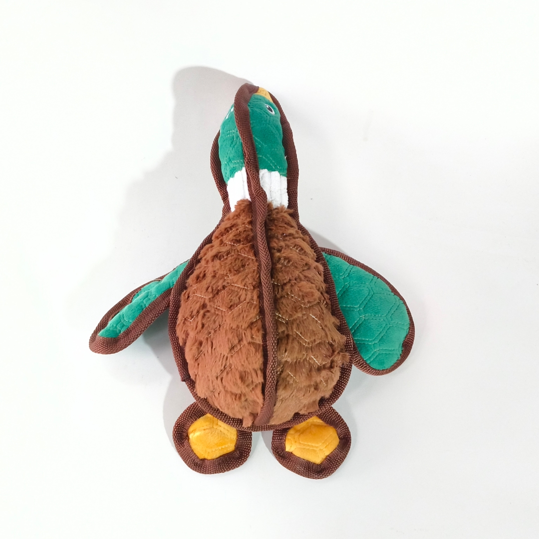 微信图片_20260205154704_1159_23