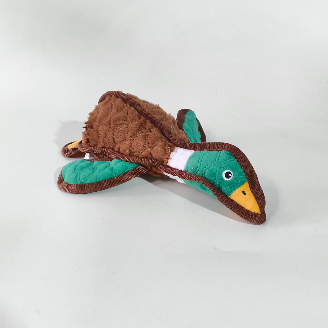 微信图片_20260205154707_1162_23