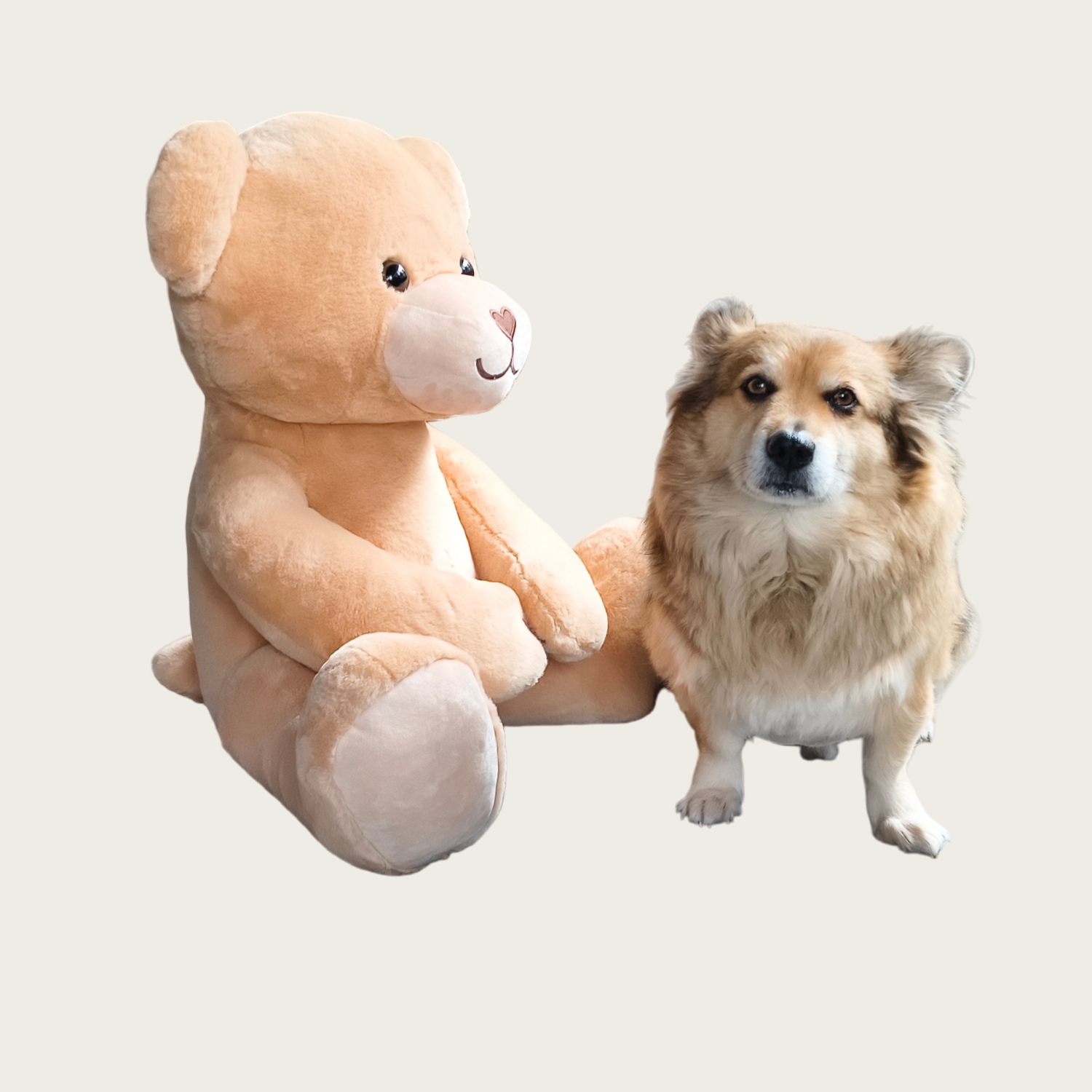 Big Plush Teddy Bear Fluffy Soft Custom Sitting Animal Wholesale Factory Kids Gift Toys