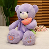 High Quality Birthday Plush Stuffed Cartoon Love Teddy Bear Toy Doll