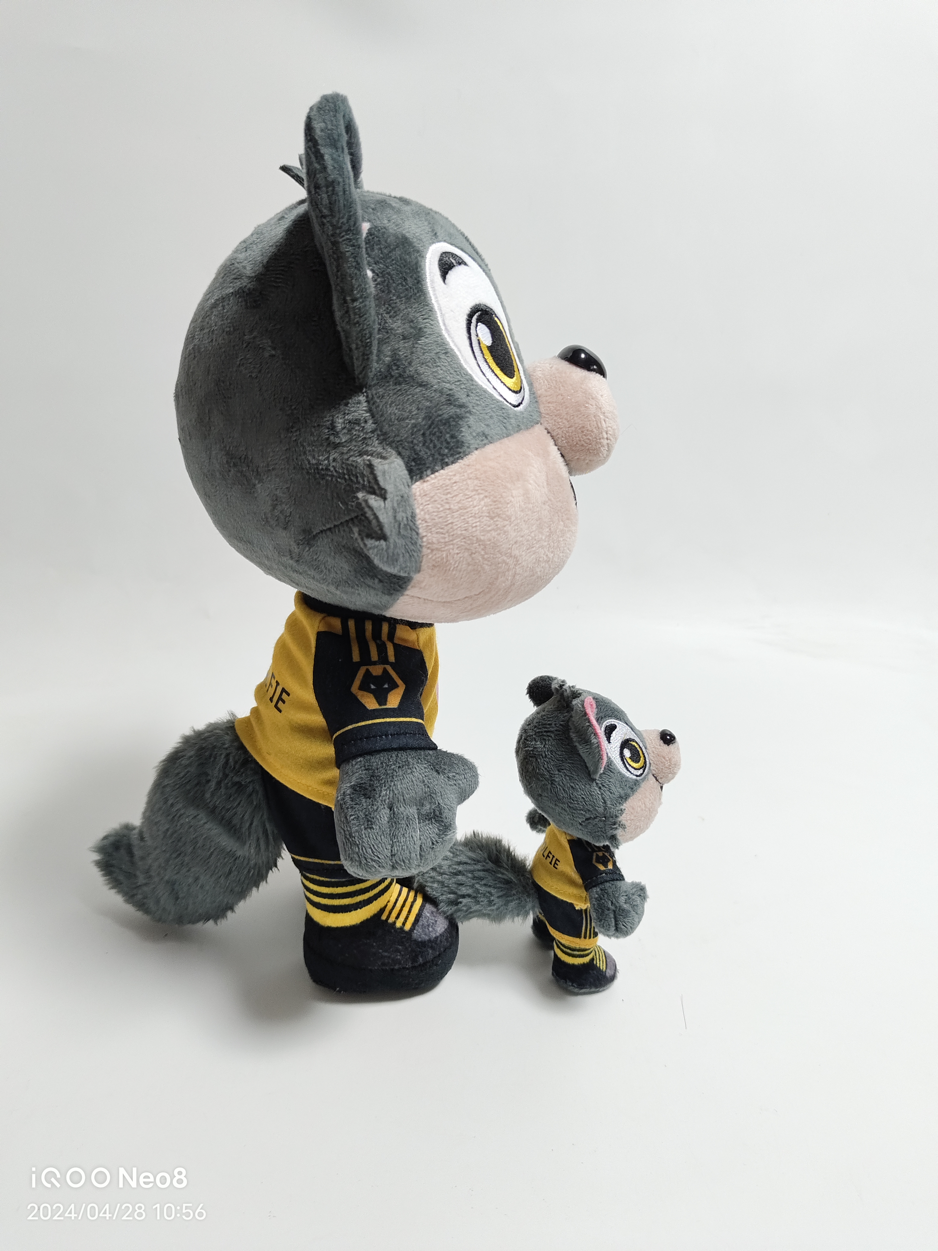 WOLF (5)