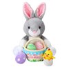 Holiday Party Decoration Plush Stuffed Bunny with Easter Eggs Blankets Toy Set