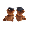 Graduation Brown Teddy Bear Soft Fuzzy Plush Gift Toy