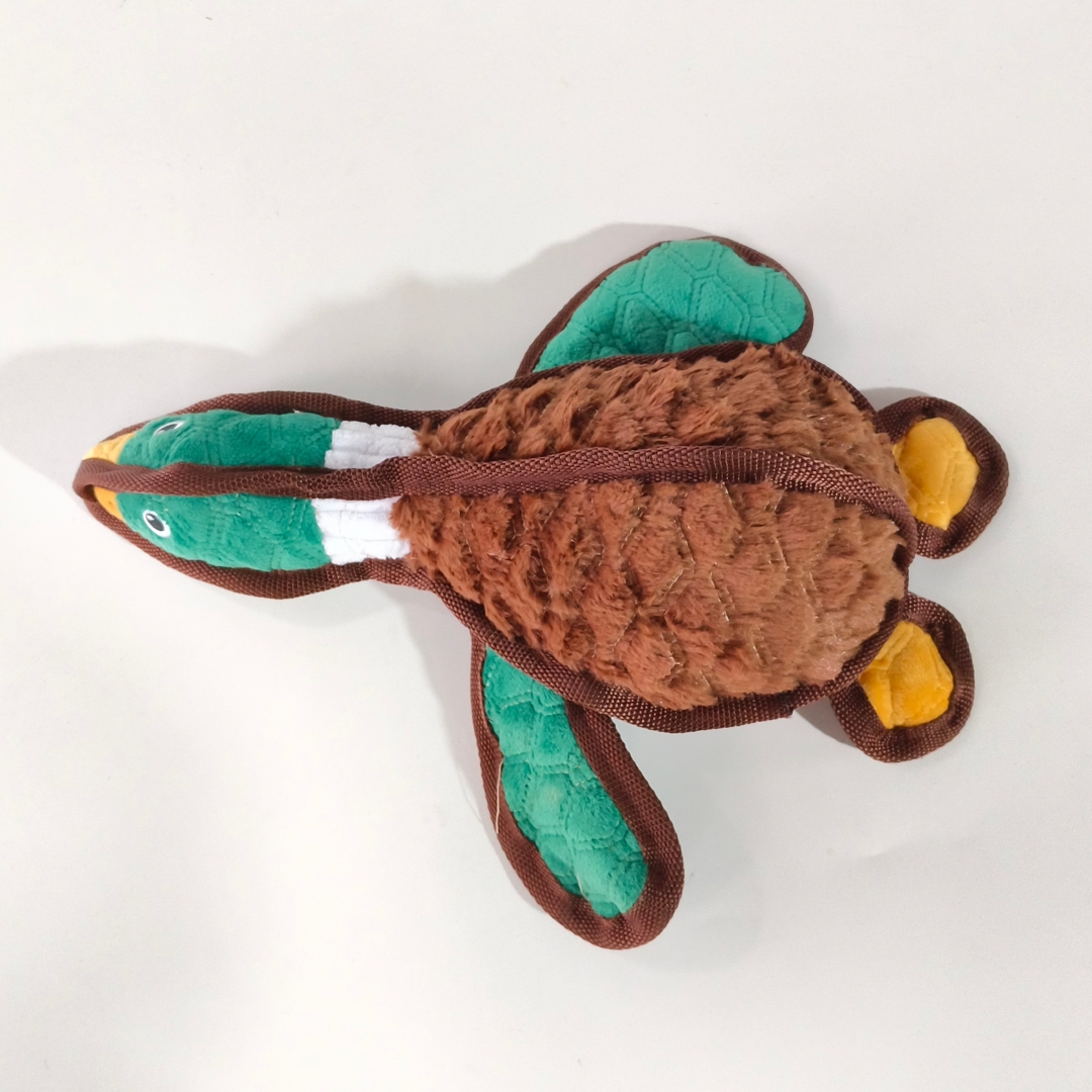 微信图片_20260205154705_1160_23