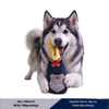 Bottle Shape Plush Pet Squeaky Dog Chewy Interactive Toy