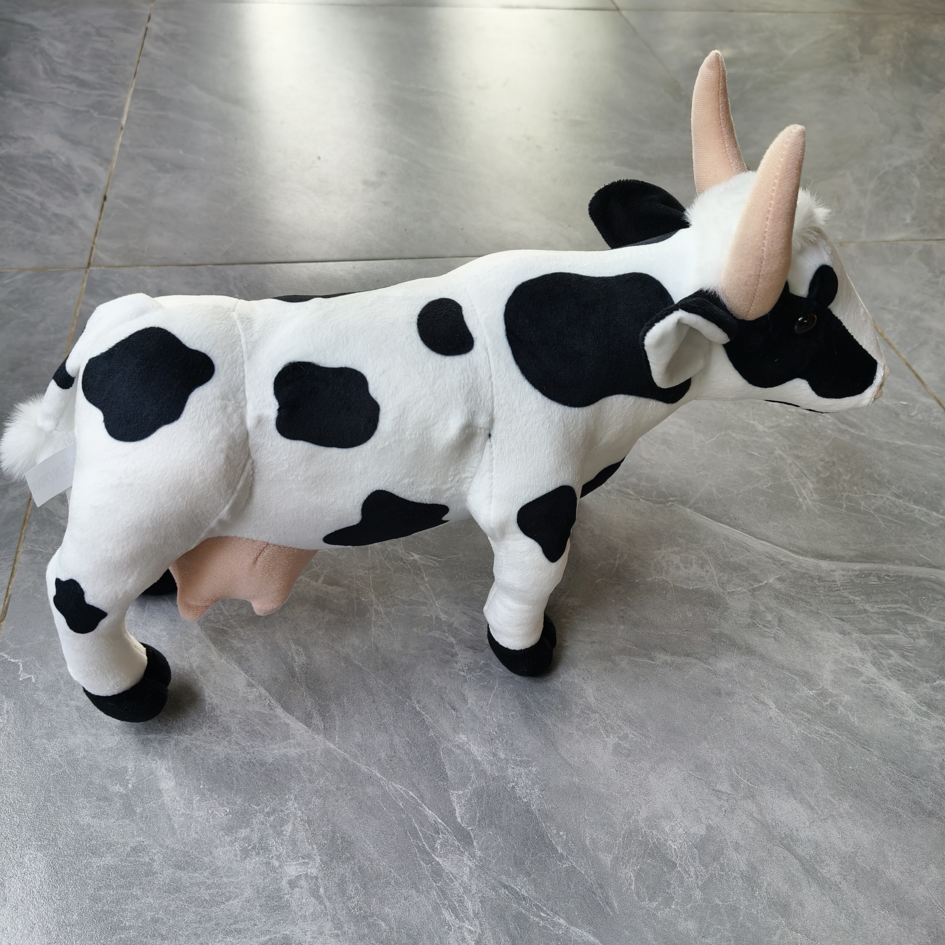 Cow real photos (1)