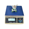Kangaroo Grey Backpack Grey Soft Keychain Plush Wholesale Animal Toys