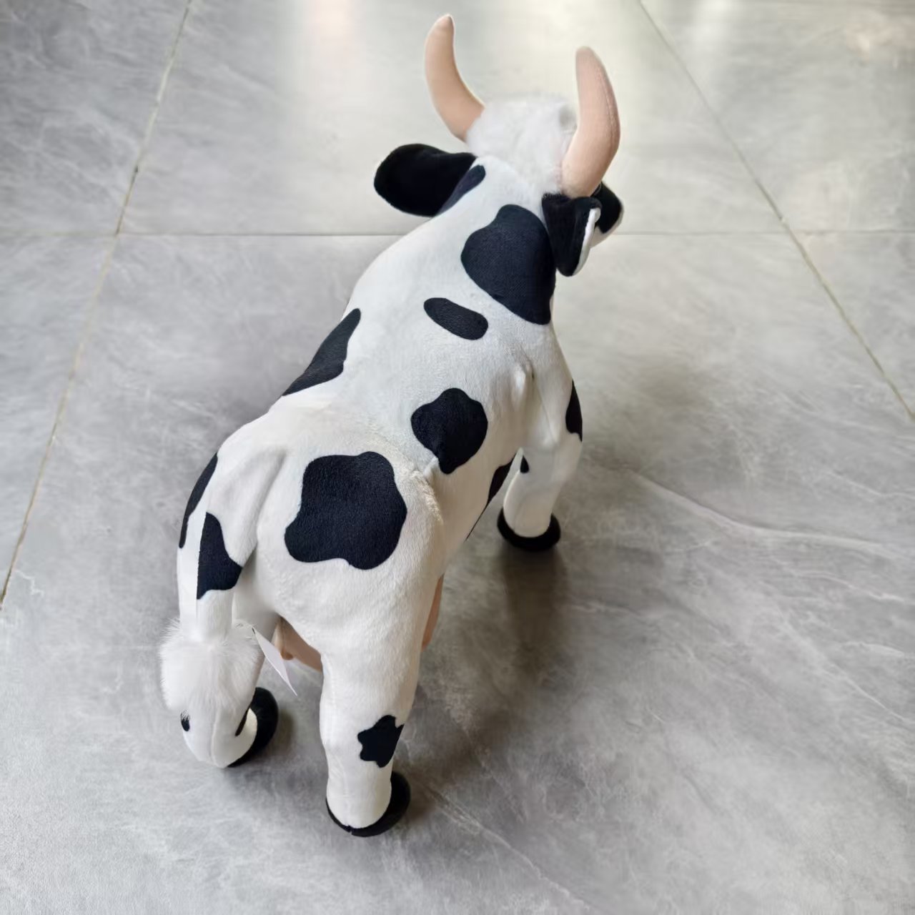 Cow real photos (2)